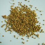 Dhaniya Whole-200gm